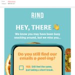 re-engagement survey email example