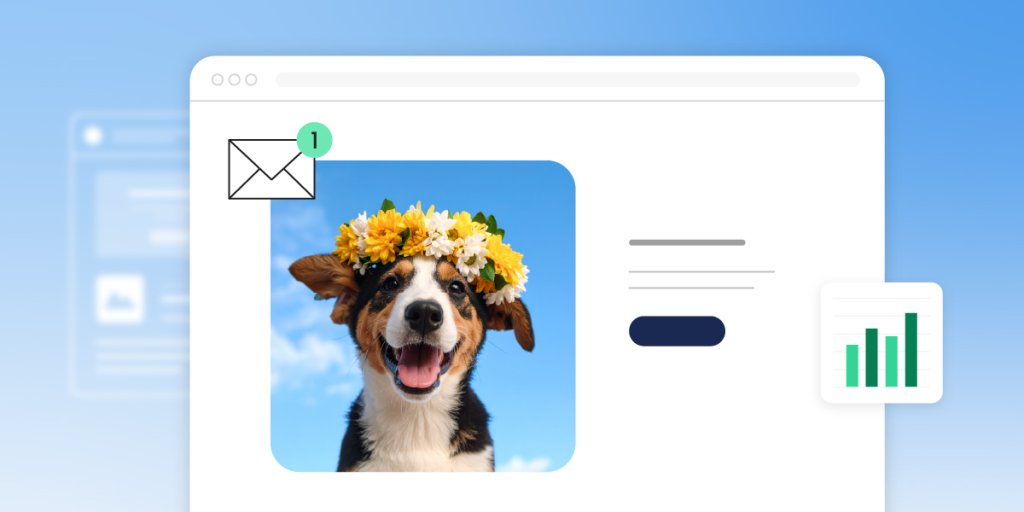 Browser window displaying an email sign up form with a happy Border Collie wearing a colorful flower crown made of yellow and white daisies. The dog's tongue is out in a cheerful expression against a blue sky background. Interface elements include an email icon with notification badge and a small analytics chart widget.