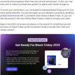 Table of contents listing Black Friday marketing strategies including sneak peeks, early-bird sales, and bundle deals, alongside promotional graphic for free Black Friday 2025 email course featuring target and shopping bag icons