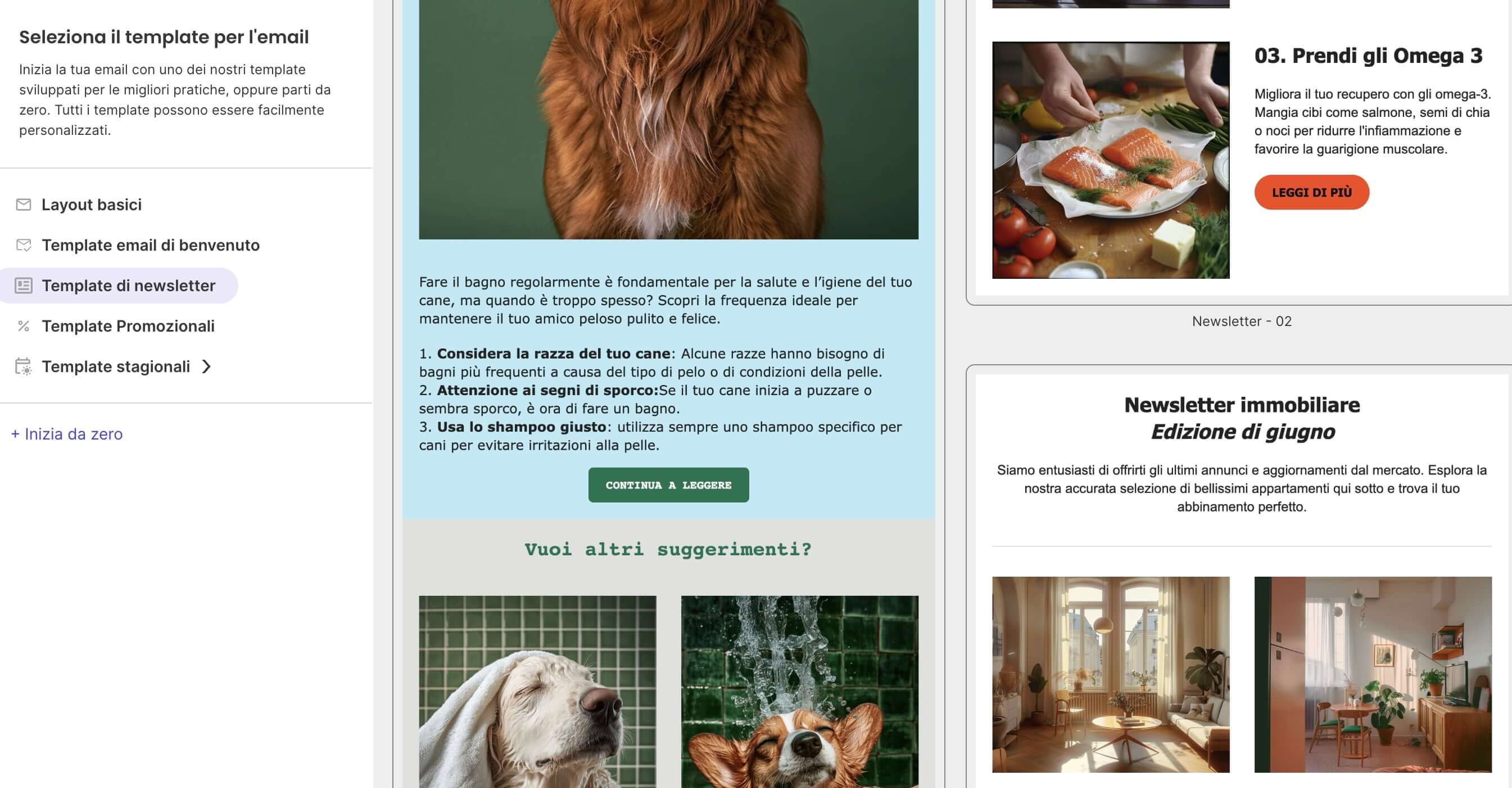 screenshot dallo Strumento di Email Marketing di SiteGround, dove vengono mostrati molti template, tutti diversi e personalizzabili