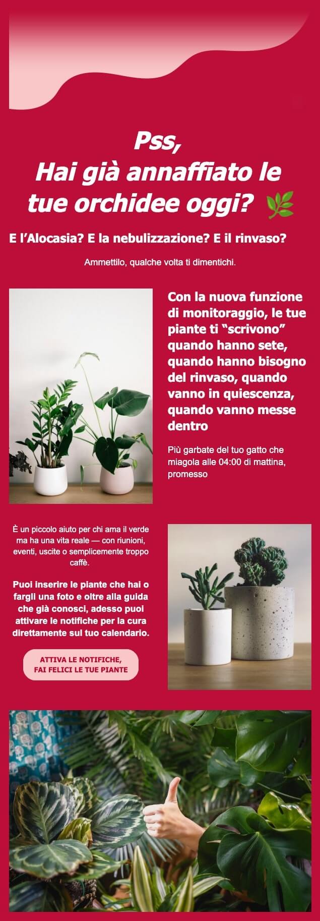 screenshot di una mail che dice: Pss,
Hai già annaffiato le
tue orchidee oggi? 🌿
E l’Alocasia? E la nebulizzazione? E il rinvaso?
Ammettilo, qualche volta ti dimentichi.
Con la nuova funzione di monitoraggio, le tue piante ti scrivono quando hanno sete, quando hanno bisogno del rinvaso, quando vanno in quiescenza, quando vanno messe dentro.
Più garbate del tuo gatto che miagola alle 04:00 di mattina, promesso
Inserisci le piante che hai o fargli una foto e attiva le notifiche per la cura direttamente sul tuo calendario.
CTA: attiva le notifiche,
fai felici le tue piante
