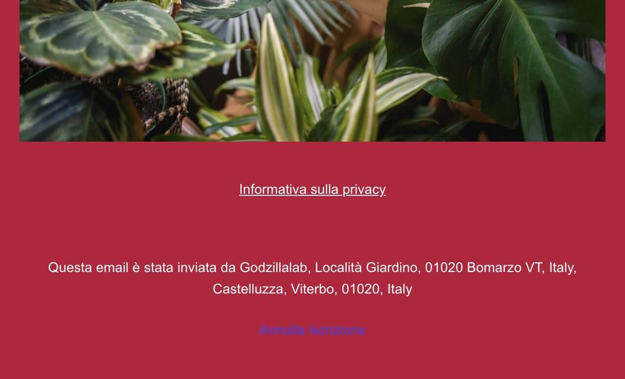 screenshot di un footer email che presenta tutte le informazioni essenziali: pulsante di disiscrizione, contatti, informativa sulla privacy