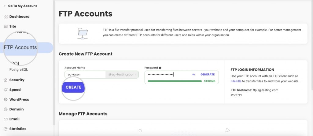 Screenshot of FTP accounts in admin panel