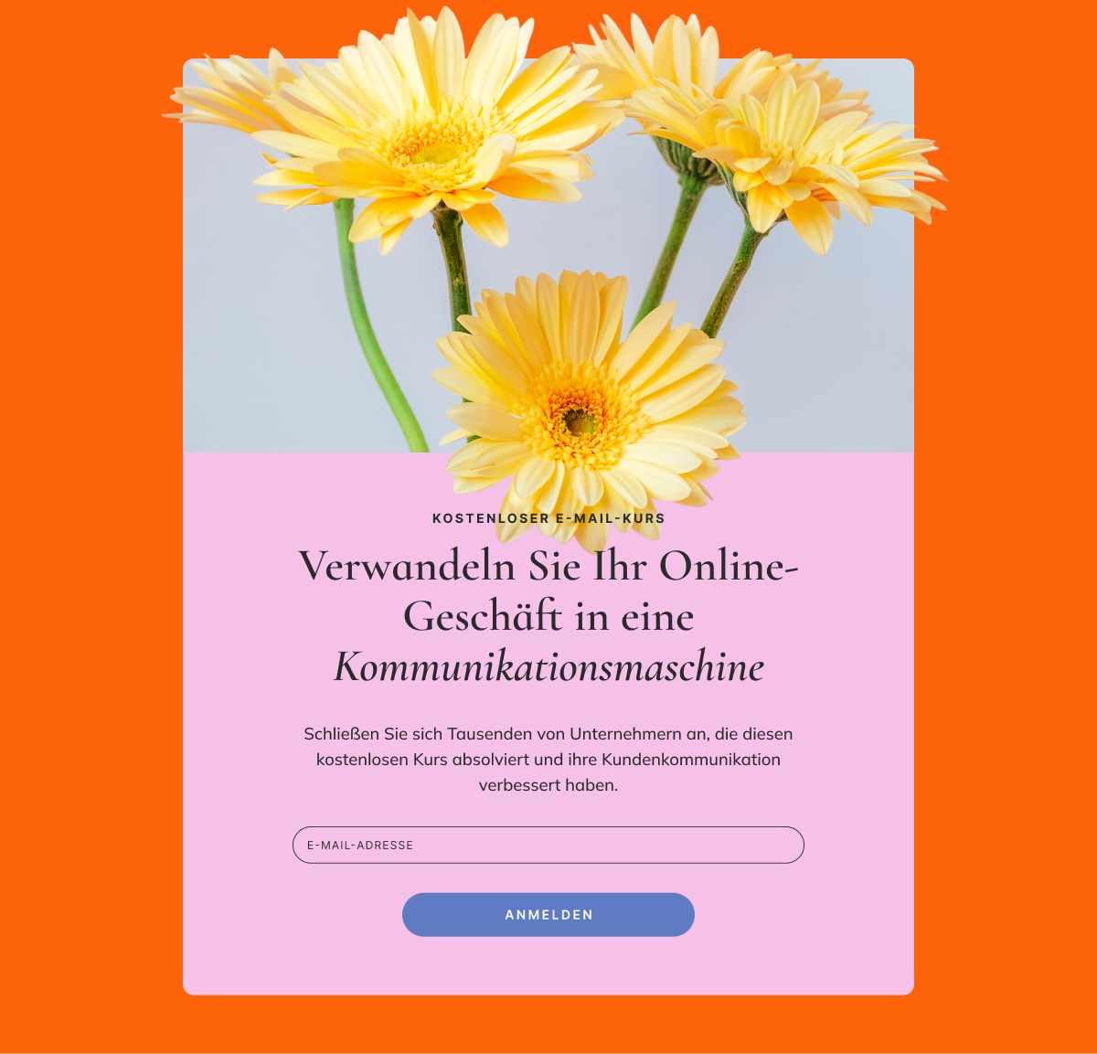Anmeldeformular für Challenge oder Online-Kurs
